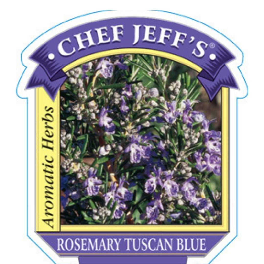 HERB - Rosemary - Tuscan Blue