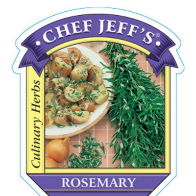 HERB - Rosemary