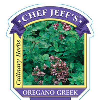 HERB - Oregano - Greek