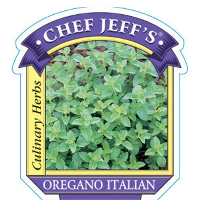 HERB - Oregano - Italian