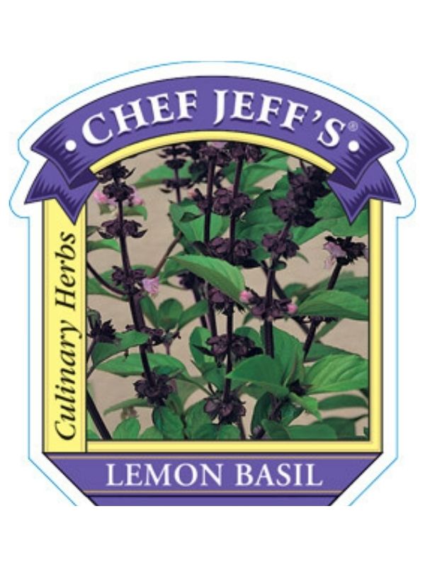 HERB - Basil - Lemon