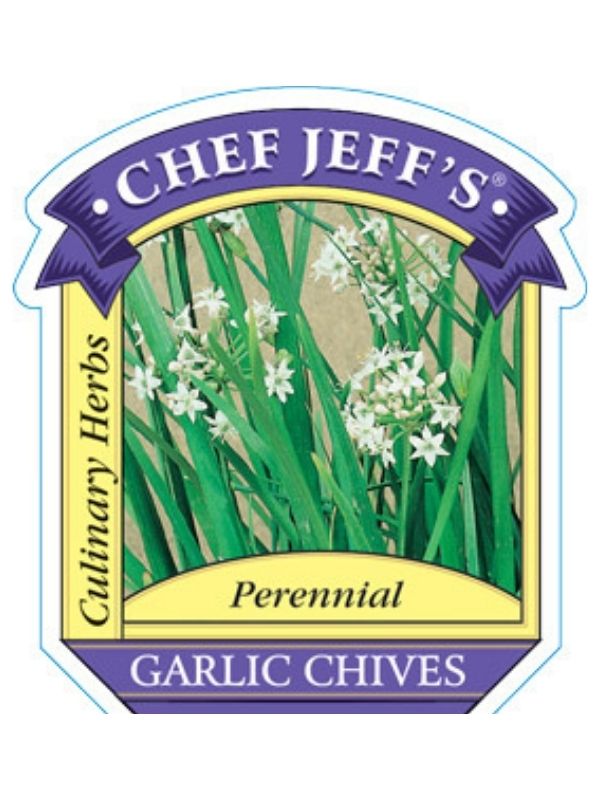 HERB - Chives - Garlic