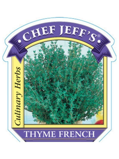 HERB - Thyme - French