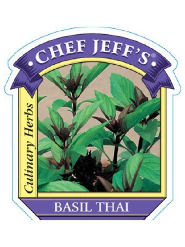 HERB - Basil - Thai